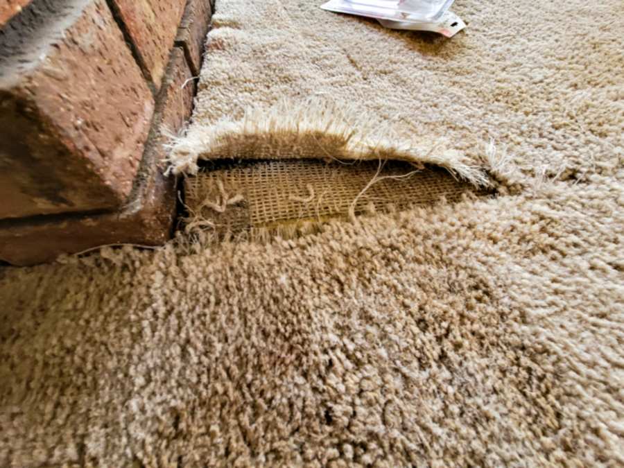 7 Surefire Signs It’s Time to Replace Your Carpet